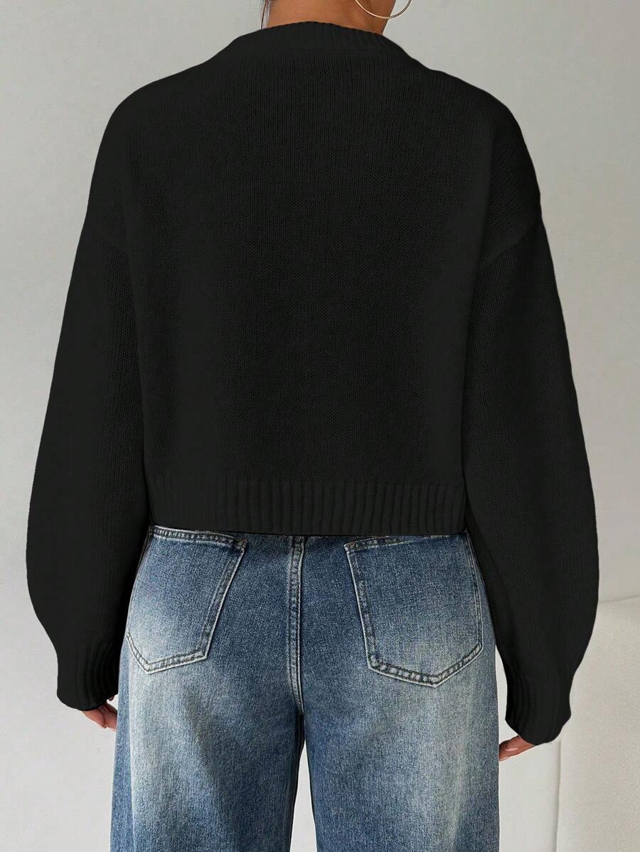 Celisse Tropiluxe Women's Solid Color Simple Casual Crew Neck Long Sleeve White Sweater