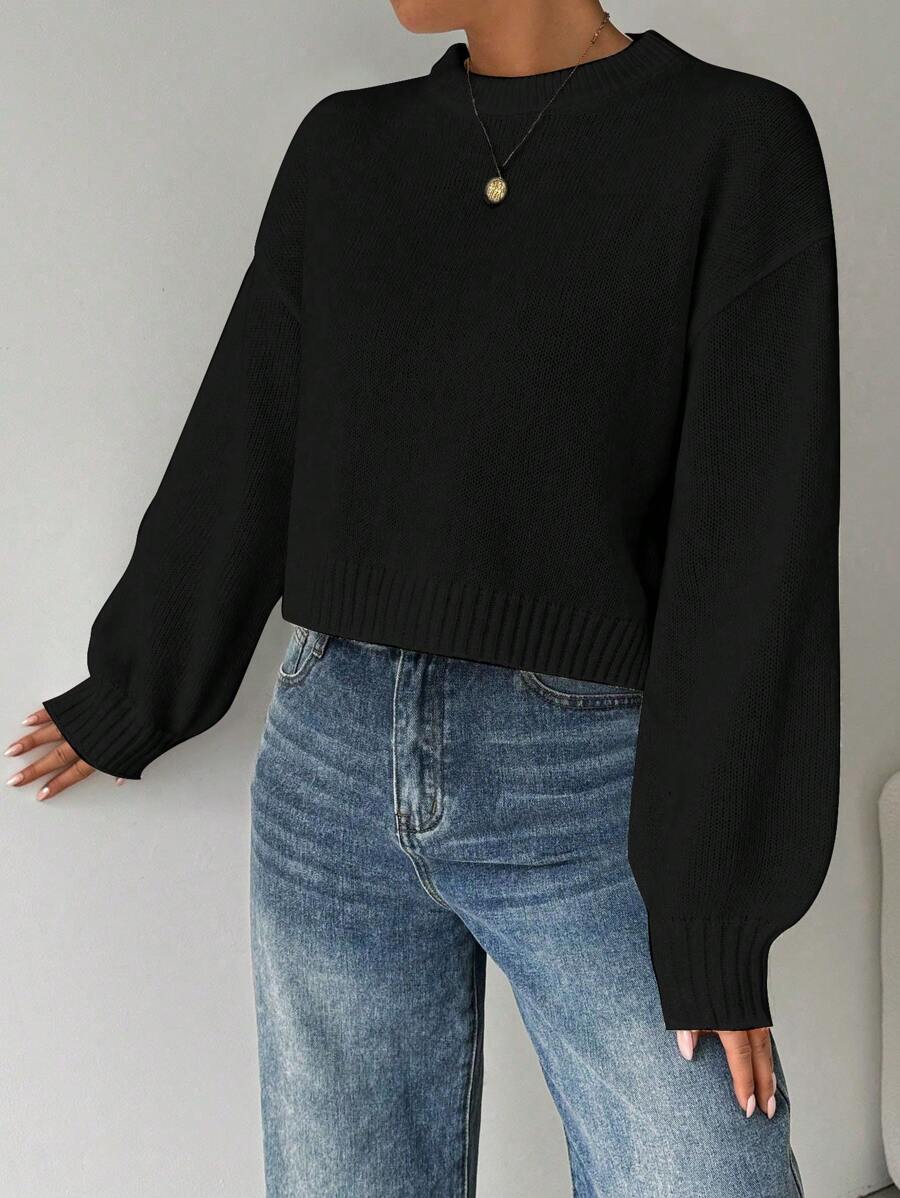 Celisse Tropiluxe Women's Solid Color Simple Casual Crew Neck Long Sleeve White Sweater