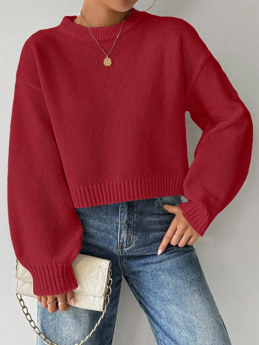Celisse Tropiluxe Women's Solid Color Simple Casual Crew Neck Long Sleeve White Sweater