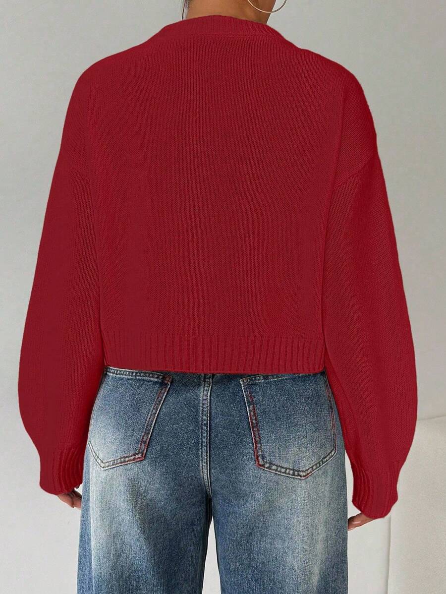 Celisse Tropiluxe Women's Solid Color Simple Casual Crew Neck Long Sleeve White Sweater