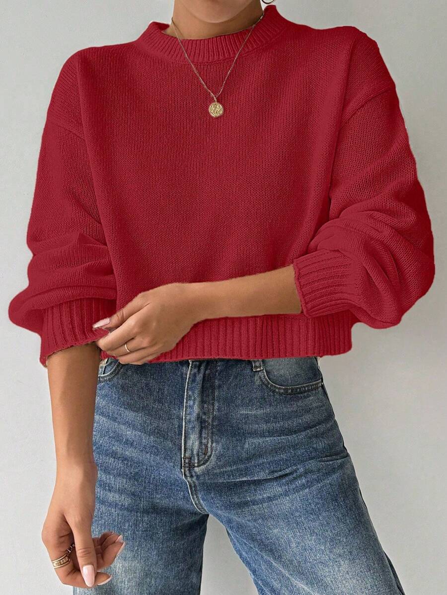 Celisse Tropiluxe Women's Solid Color Simple Casual Crew Neck Long Sleeve White Sweater