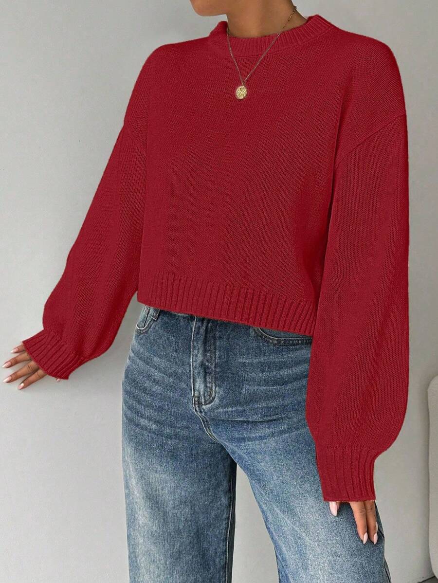 Celisse Tropiluxe Women's Solid Color Simple Casual Crew Neck Long Sleeve White Sweater
