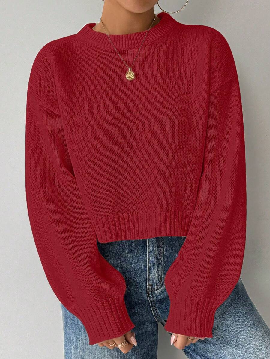Celisse Tropiluxe Women's Solid Color Simple Casual Crew Neck Long Sleeve White Sweater
