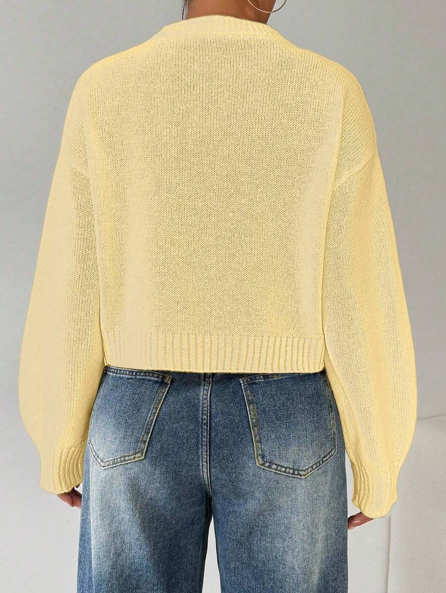 Celisse Tropiluxe Women's Solid Color Simple Casual Crew Neck Long Sleeve White Sweater