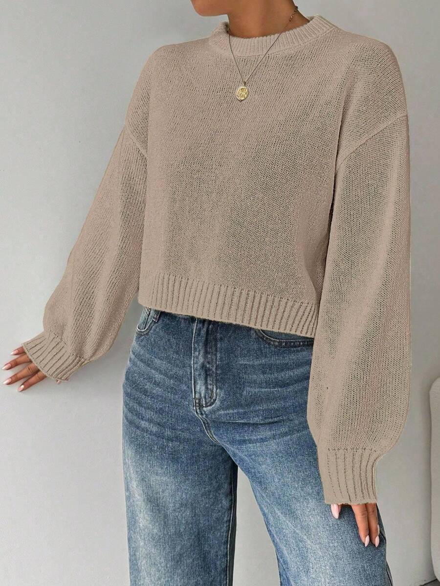 Celisse Tropiluxe Women's Solid Color Simple Casual Crew Neck Long Sleeve White Sweater