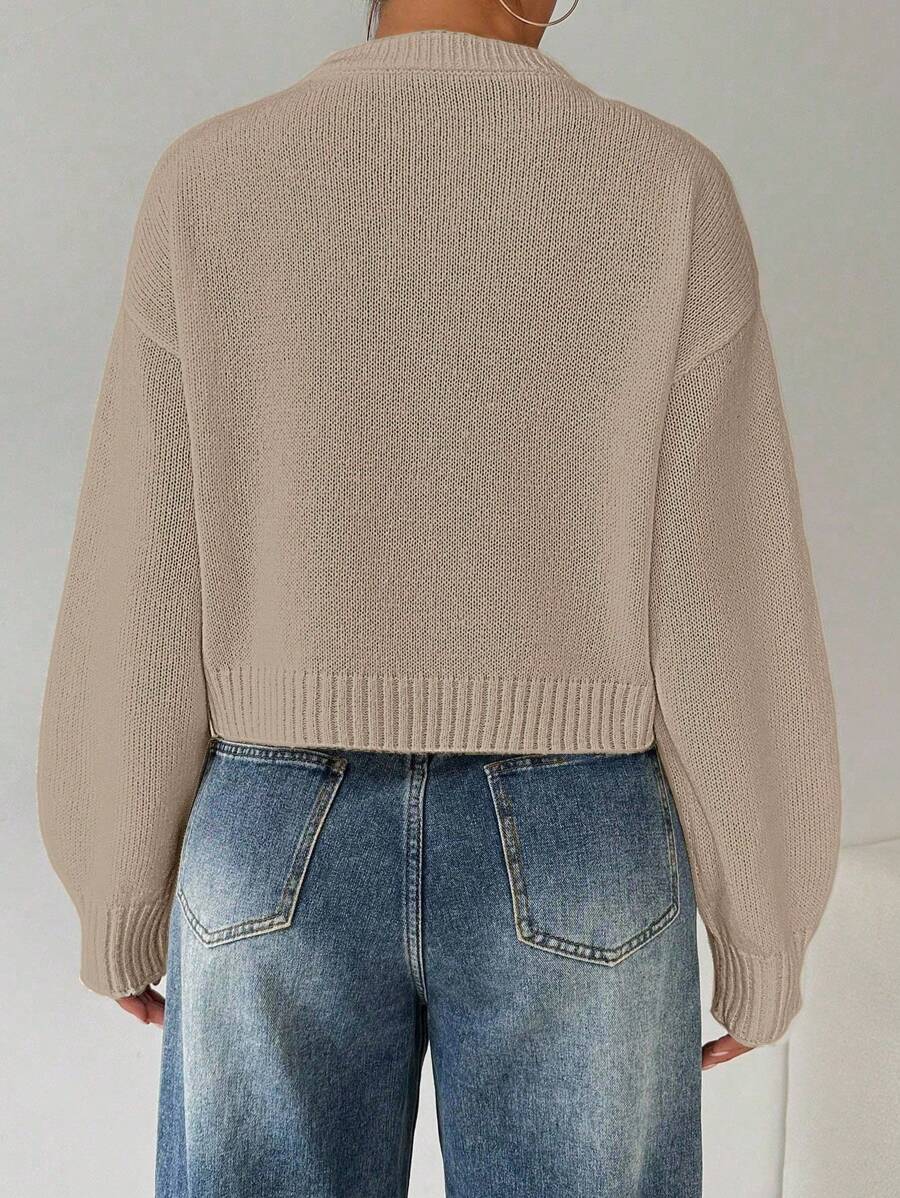 Celisse Tropiluxe Women's Solid Color Simple Casual Crew Neck Long Sleeve White Sweater