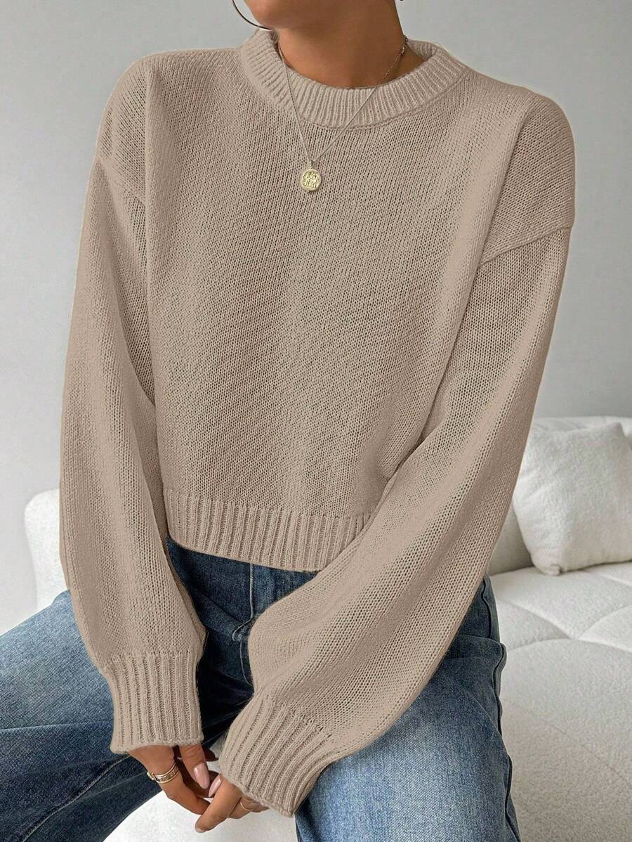 Celisse Tropiluxe Women's Solid Color Simple Casual Crew Neck Long Sleeve White Sweater