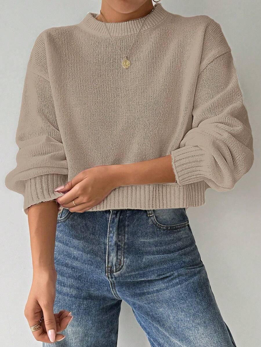 Celisse Tropiluxe Women's Solid Color Simple Casual Crew Neck Long Sleeve White Sweater
