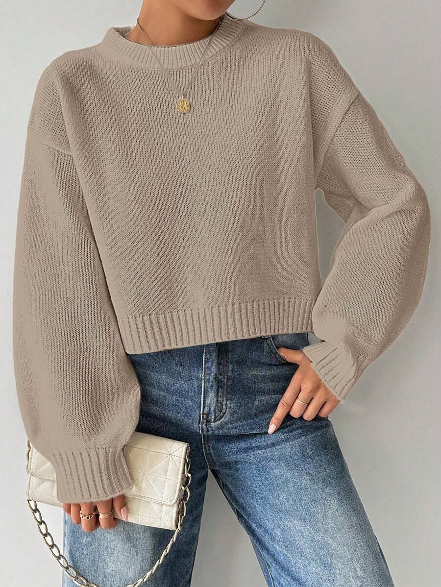 Celisse Tropiluxe Women's Solid Color Simple Casual Crew Neck Long Sleeve White Sweater