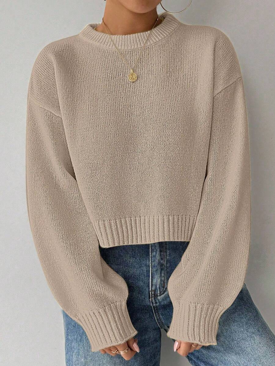 Celisse Tropiluxe Women's Solid Color Simple Casual Crew Neck Long Sleeve White Sweater