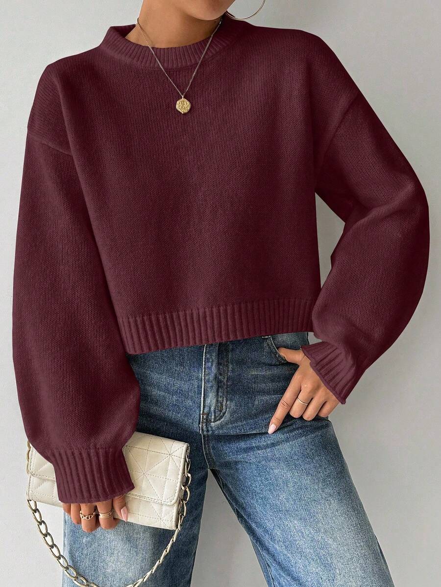 Celisse Tropiluxe Women's Solid Color Simple Casual Crew Neck Long Sleeve White Sweater