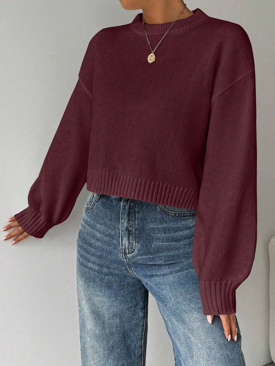 Celisse Tropiluxe Women's Solid Color Simple Casual Crew Neck Long Sleeve White Sweater
