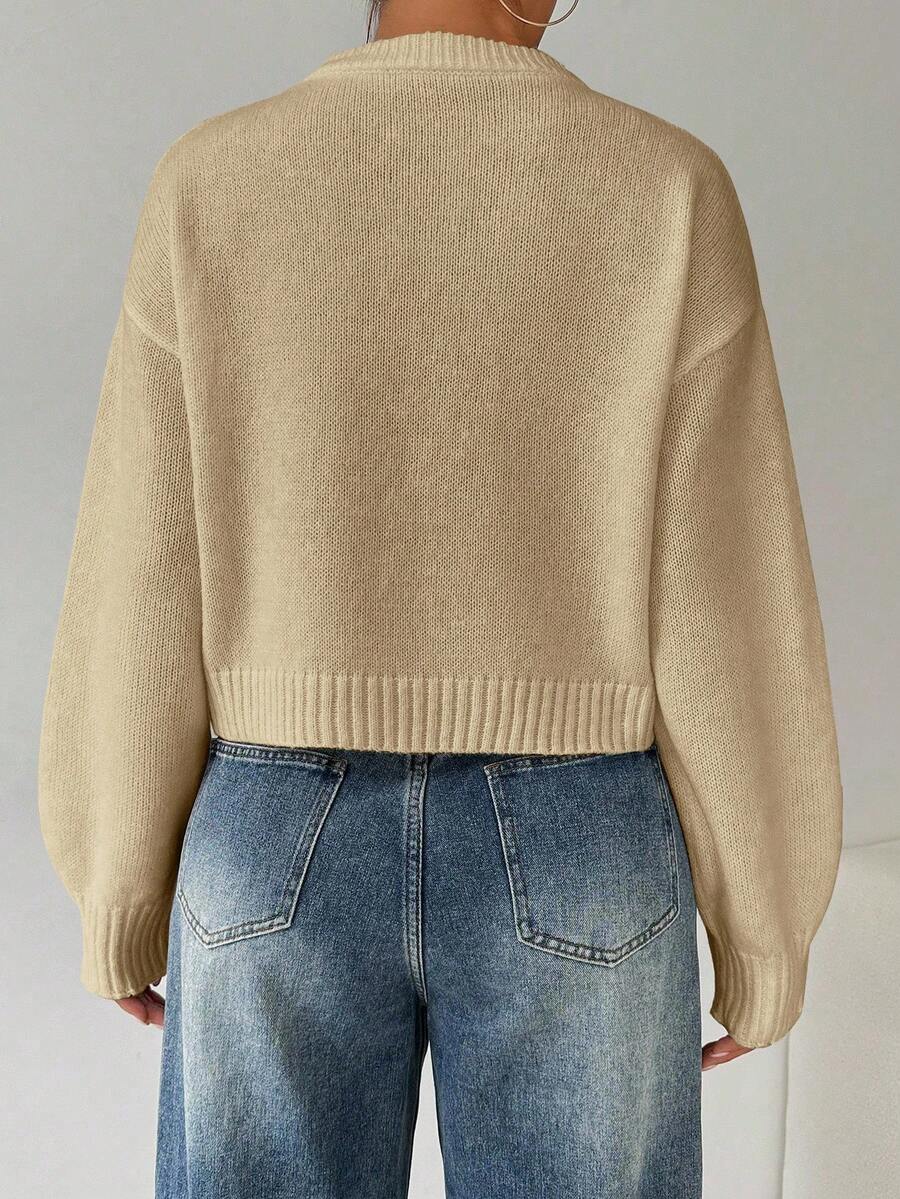 Celisse Tropiluxe Women's Solid Color Simple Casual Crew Neck Long Sleeve White Sweater