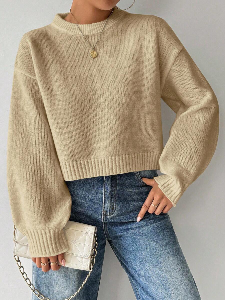 Celisse Tropiluxe Women's Solid Color Simple Casual Crew Neck Long Sleeve White Sweater