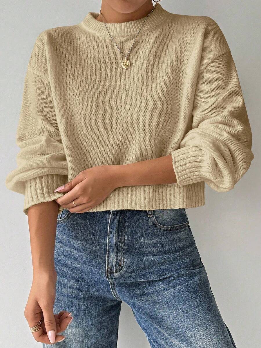 Celisse Tropiluxe Women's Solid Color Simple Casual Crew Neck Long Sleeve White Sweater