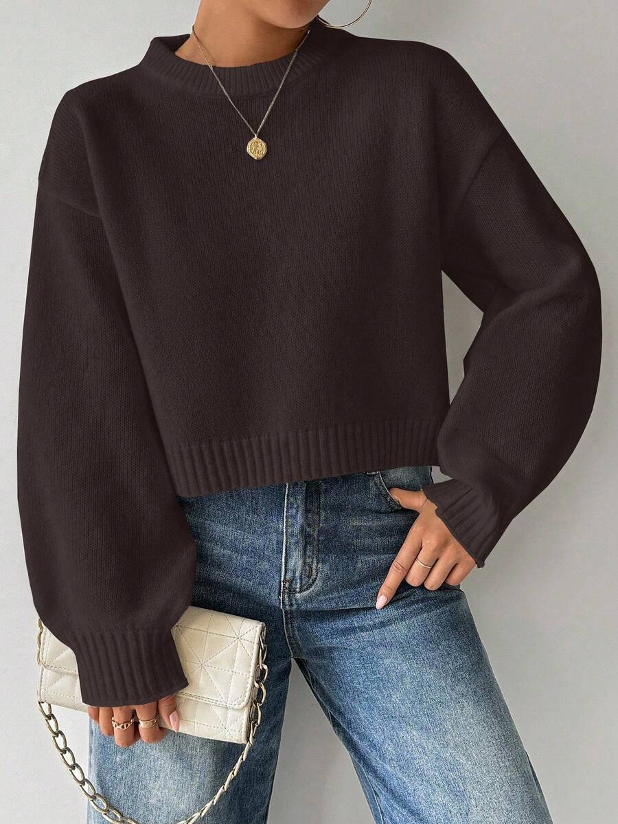 Celisse Tropiluxe Women's Solid Color Simple Casual Crew Neck Long Sleeve White Sweater