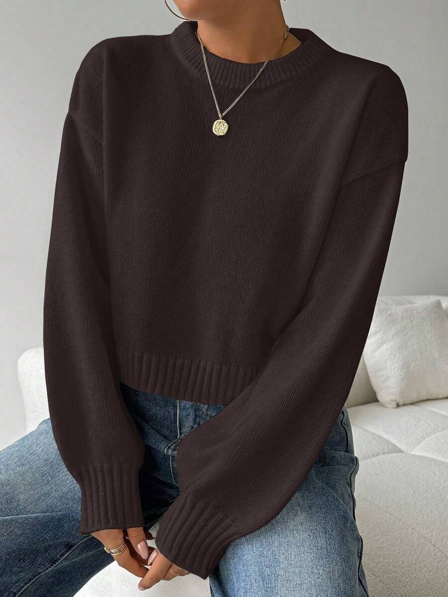Celisse Tropiluxe Women's Solid Color Simple Casual Crew Neck Long Sleeve White Sweater