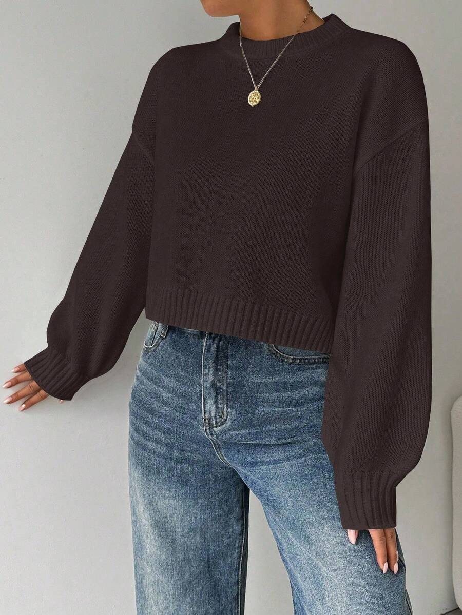 Celisse Tropiluxe Women's Solid Color Simple Casual Crew Neck Long Sleeve White Sweater