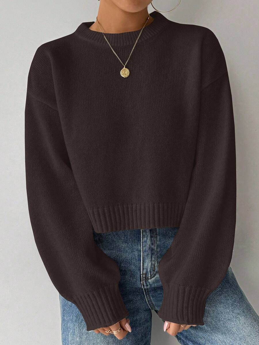 Celisse Tropiluxe Women's Solid Color Simple Casual Crew Neck Long Sleeve White Sweater