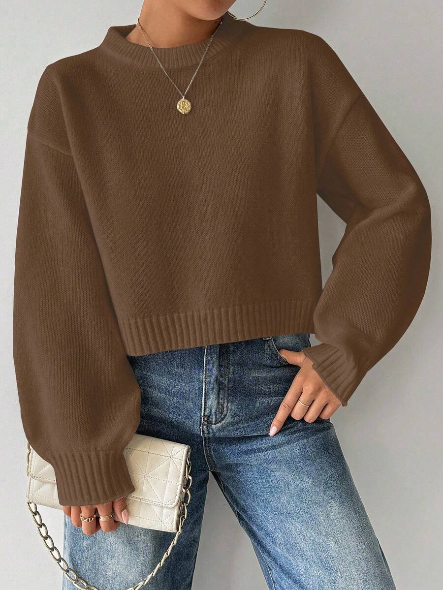 Celisse Tropiluxe Women's Solid Color Simple Casual Crew Neck Long Sleeve White Sweater