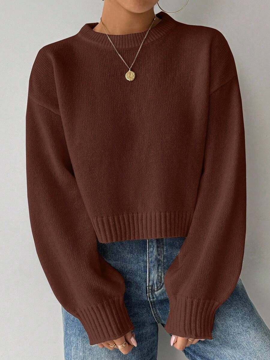 Celisse Tropiluxe Women's Solid Color Simple Casual Crew Neck Long Sleeve White Sweater