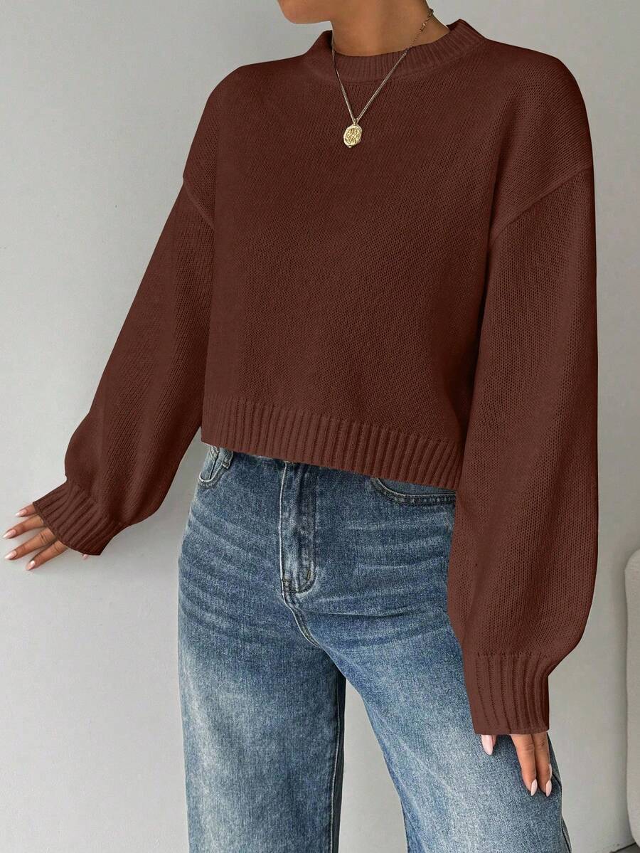 Celisse Tropiluxe Women's Solid Color Simple Casual Crew Neck Long Sleeve White Sweater