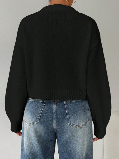 Celisse Tropiluxe Women's Solid Color Simple Casual Crew Neck Long Sleeve White Sweater