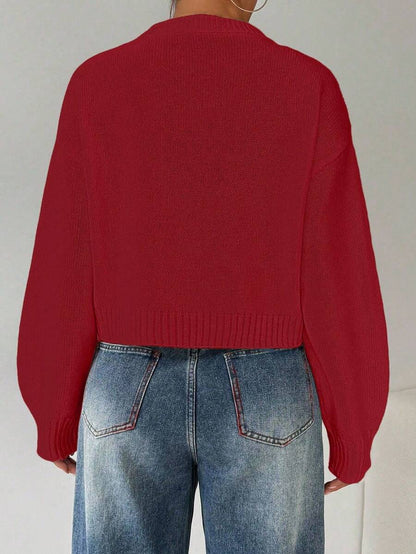Celisse Tropiluxe Women's Solid Color Simple Casual Crew Neck Long Sleeve White Sweater