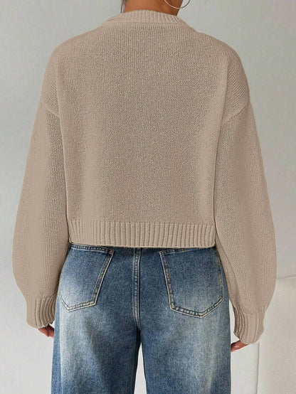 Celisse Tropiluxe Women's Solid Color Simple Casual Crew Neck Long Sleeve White Sweater