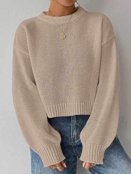 Celisse Tropiluxe Women's Solid Color Simple Casual Crew Neck Long Sleeve White Sweater