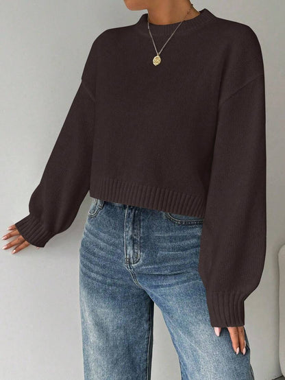 Celisse Tropiluxe Women's Solid Color Simple Casual Crew Neck Long Sleeve White Sweater