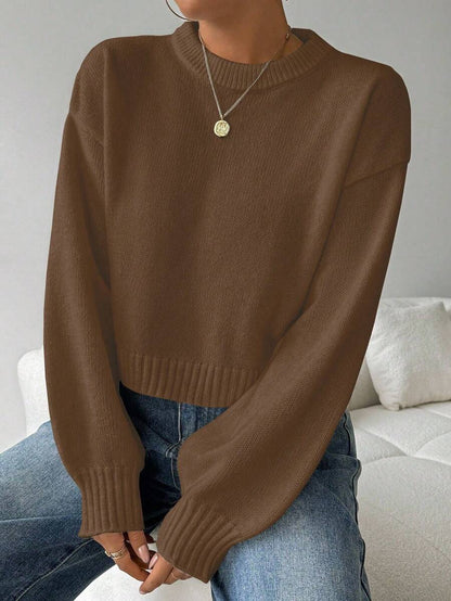 Celisse Tropiluxe Women's Solid Color Simple Casual Crew Neck Long Sleeve White Sweater