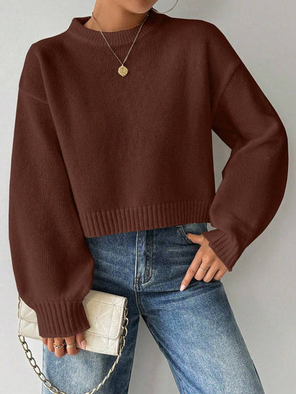 Celisse Tropiluxe Women's Solid Color Simple Casual Crew Neck Long Sleeve White Sweater